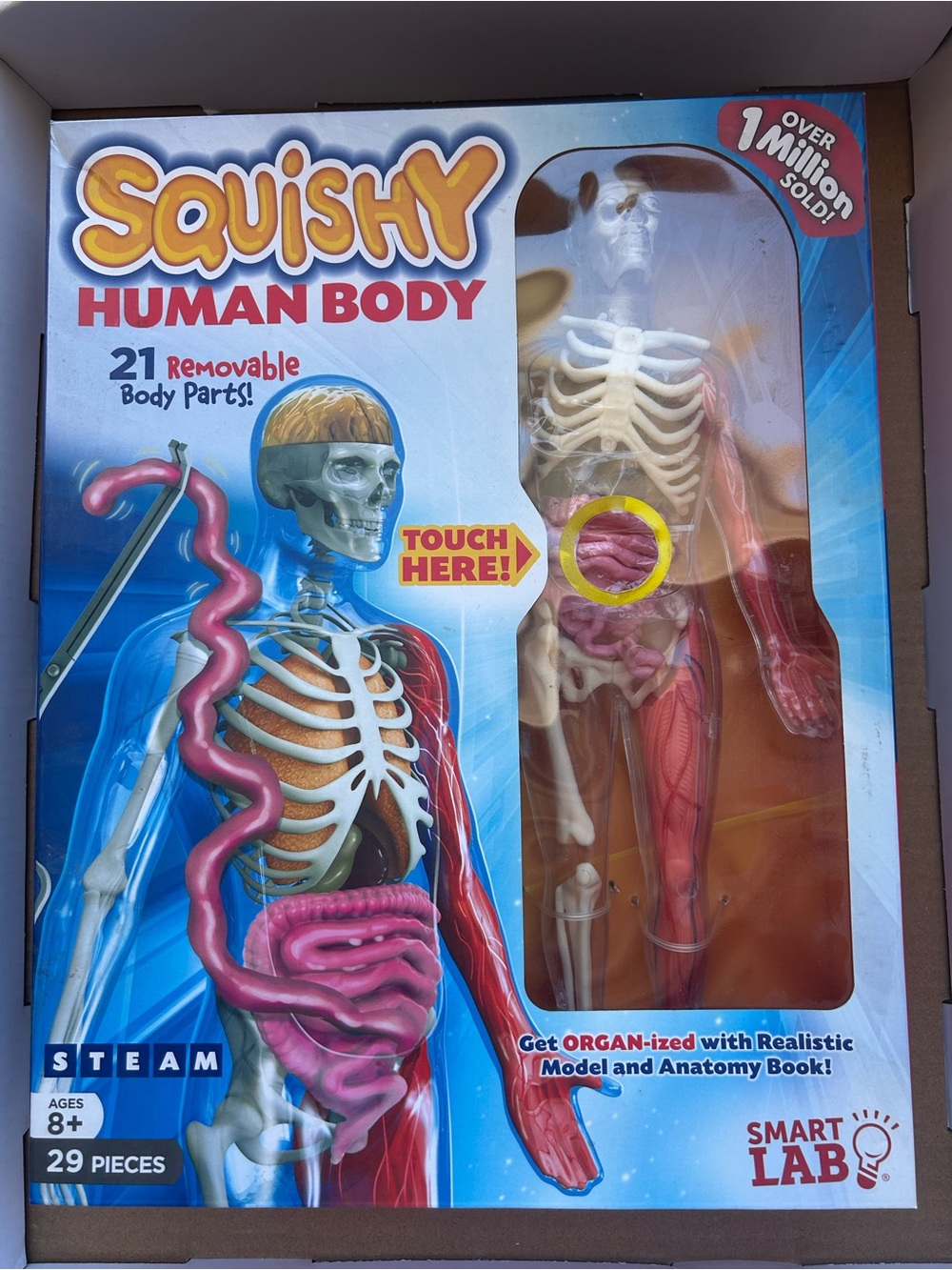 New STEAM Squishy Human Body Toy